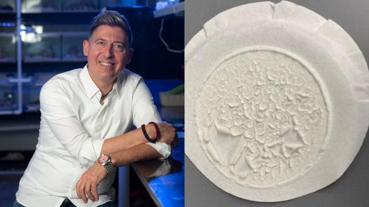 David Kisailus, professor de ciência e engenharia de materiais da UC Irvine; ao lado, material produzido pelas osteoleveduras no estudo