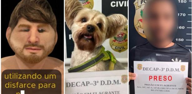 Homem é preso após usar máscara para roubar cão de ex-namorada