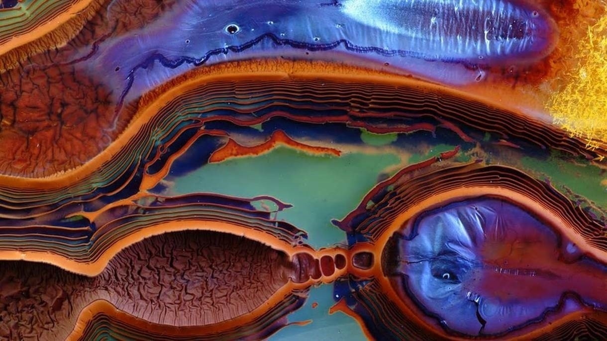 Anéis de Liesegang costumam se formar quando um composto químico passa pelo processo de precipitação - Gabriel Keleman / PA