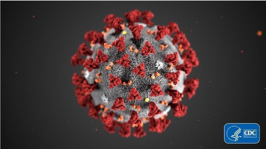 Cientistas disseram à BBC que estão perto de anunciar nome para novo coronavírus - Smith Collection/Gado