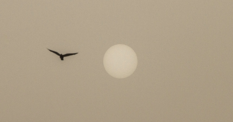 9.set.2015 - Pássaro voa em frente ao sol durante uma tempestade de areia, em Jerusalém