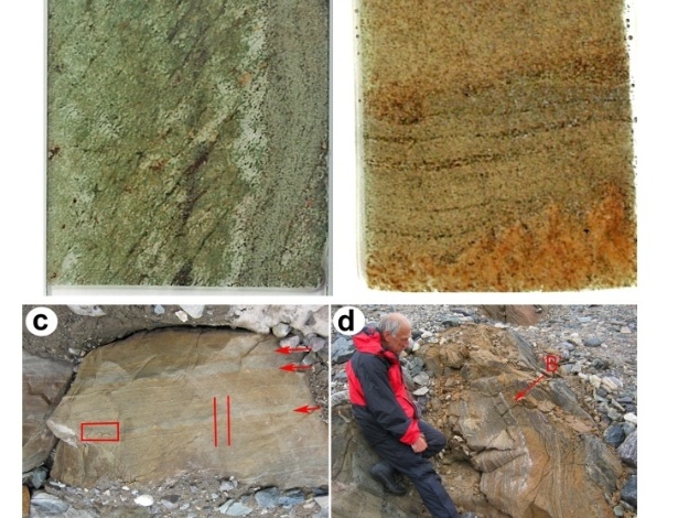 Estromatólitos em rocha seriam registro mais antigo de vida na Terra - Reprodução/Nature