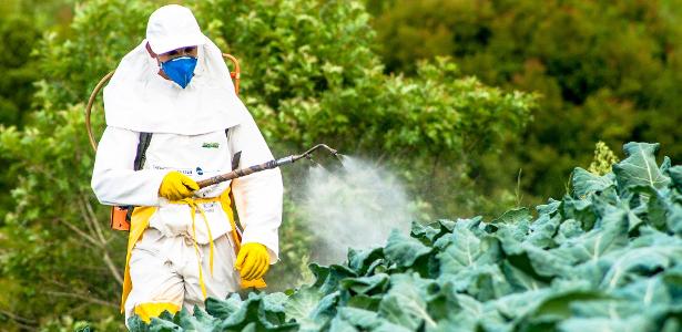 O que é verdade e o que é fake sobre as acusações contra carne brasileira?