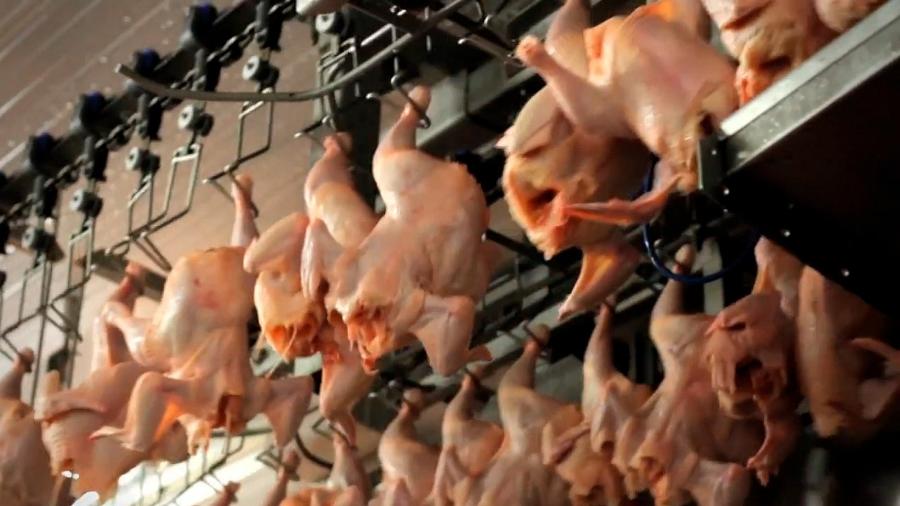 Operação Carne Fraca apontou falhas na fiscalização federal de frigoríficos em 2017 - ?Carne, Osso?/Repórter Brasil