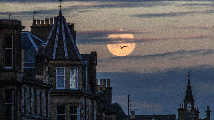 Uma super lua rosa é vista atrás dos telhados de Edimburgo. Apesar do nome, não há mudança de cor real na aparência da superfície lunar - é uma referência do norte-americano nativo a flores silvestres que florescem cedo, que começam a aparecer nos EUA e no Canadá no início da primavera. - Jane Barlow - PA Images/PA Images via Getty Images