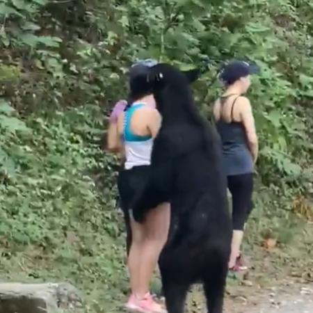 Urso se aproximou de jovens e permaneceu, por alguns segundos, de pé ao lado de uma das visitantes enquanto a cheirava - Reprodução/Twitter
