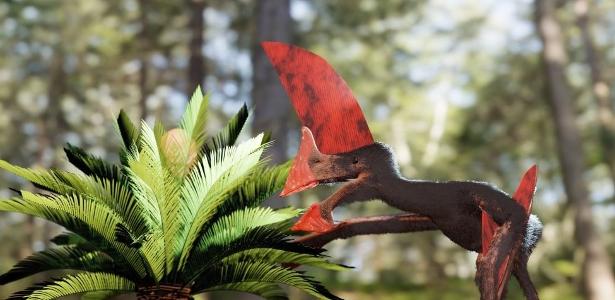 Fóssil raro encontrado no Nordeste é de pterossauro com crista gigante - Vimarsana News