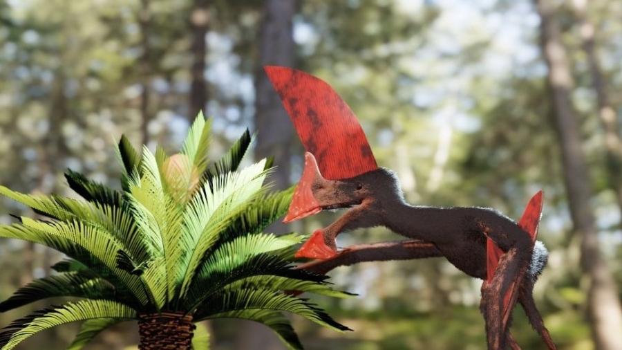Imagem artística de como teria sido o pterossauro encontrado no Nordeste e agora apresentado na revista científica PLOS ONE - Divulgação