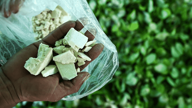 Cocaína - Getty Images - Getty Images