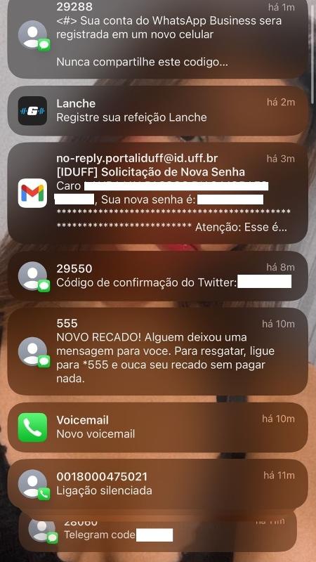 Segundo vítima, tentativas de hackear contas dela chegaram a travar celular - Arquivo pessoal - Arquivo pessoal