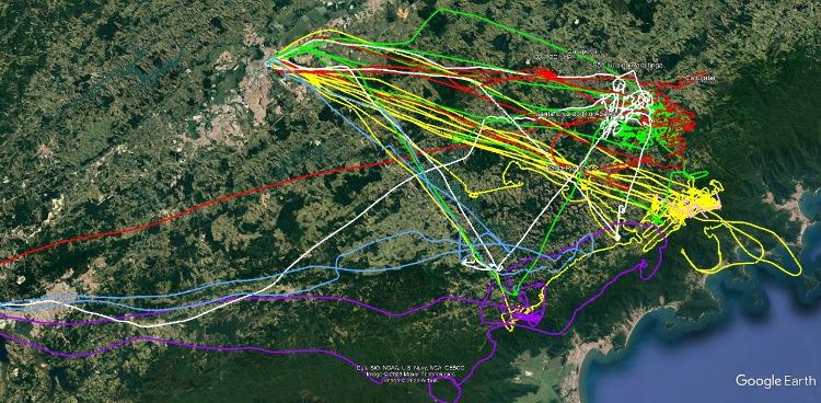 Mapa mostra trajetos de voos de buscas feitas pela PM a helicóptero desaparecido antes de quebra de sigilo telefônico para encontrar área onde aeronave caiu em Paraibuna (SP) no final de 2023