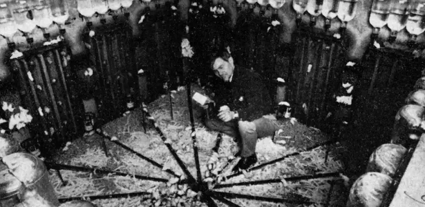 Apocalipse canibal: o que um experimento com ratos ensina aos humanos