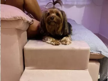 Escada ajuda pets a subir e descer do sofá; veja o que diz quem comprou