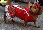 Cão participa da Parada dos "Salsichinhas", na Polônia - Jacek Bednarczyk/EPA/EFE