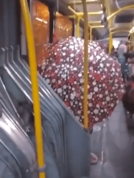 Passageiro com guarda-chuva sobre a cabeça para evitar goteiras - Reprodução/Twitter