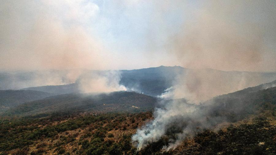 Incêndio no parque nacional Dadia, na região de Evros, na Grécia
