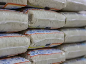 Fávaro: leilões para importação de arroz não são necessários no momento