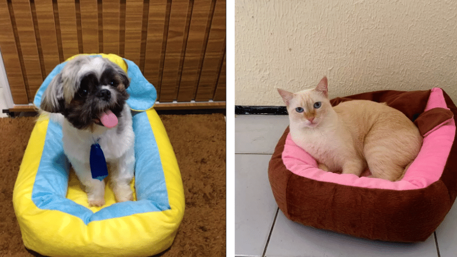 Cama para pets tem tecido macio e conta com zíper para retirar o enchimento na hora da limpeza