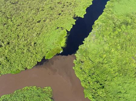 Vista aérea do Pantanal do Touro Morto, próximo ao Parque Estadual do Pantanal do Rio Negro - Reprodução/Facebook