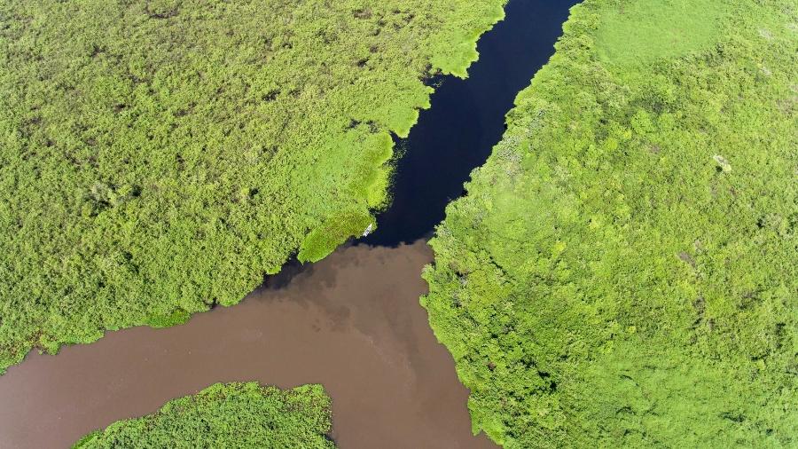 Vista aérea do Pantanal do Touro Morto, próximo ao Parque Estadual do Pantanal do Rio Negro Vista aérea do Pantanal do Touro Morto, próximo ao Parque Estadual do Pantanal do Rio Negro