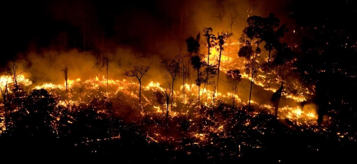 Foco de incêndio na Floresta Amazônia em São Félix do Xingu, no Pará, registrado pelo Greenpeace - Daniel Beltrá/Greenpeace