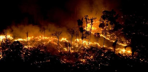 Rodovias e agropecuária colocam Pará no topo do desmatamento da Amazônia