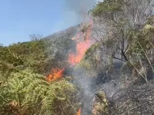 SP tem 14 focos de incêndio nesta terça; não há previsão de chuva na semana