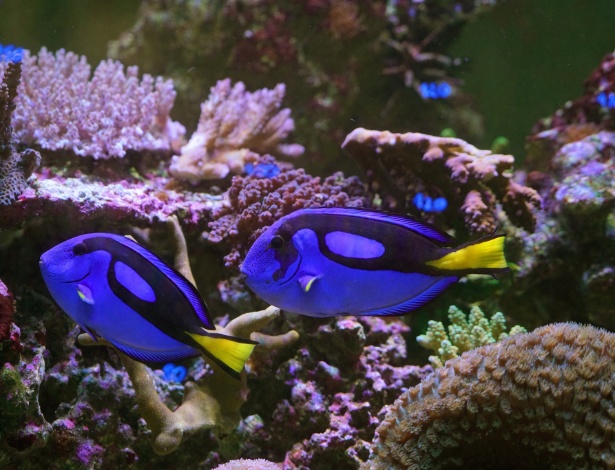 Nicole Bengiveno/The New York Times