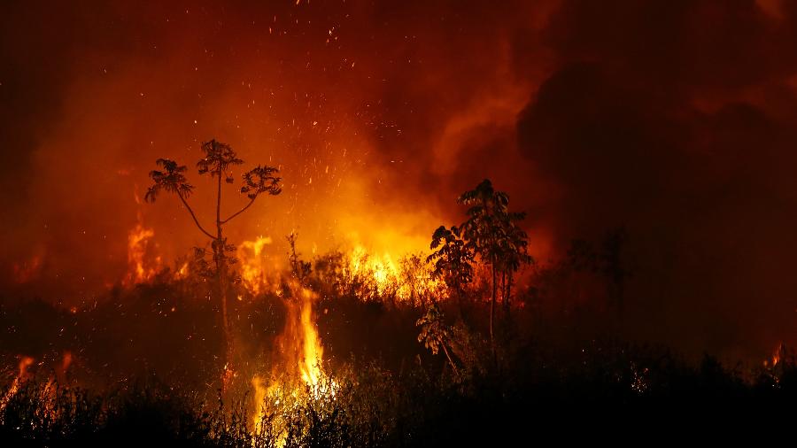 Foco de incêndio no Pantanal, na região de Poconé, no Mato Grosso  - Amanda Perobelli/Reuters
