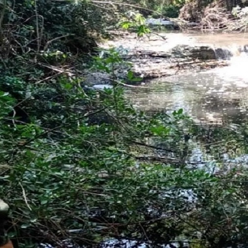 Corpo de menino de 5 anos é encontrado em córrego no interior de SP