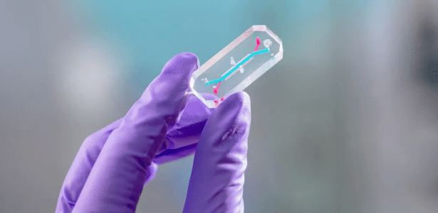 Artemis 2 usa células em chip para testar efeitos do espaço no corpo humano