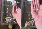 MPF investiga TikTok por vídeos e anúncios de mercúrio ilegal para garimpo (Foto: Reprodução/@xinhong_pt)