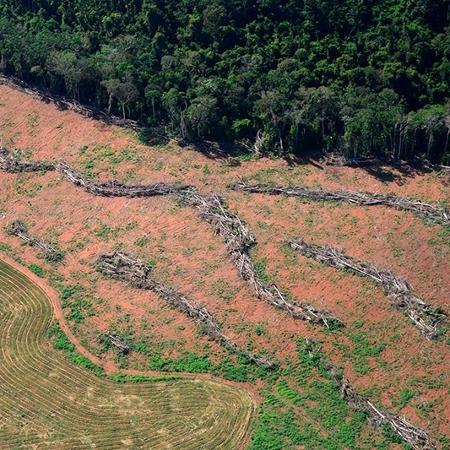 Desmatamento em região próxima ao local onde os deputados decidiram reduzir a área de proteção, em Novo Progresso, Pará - Vinícius Mendonça/Ibama