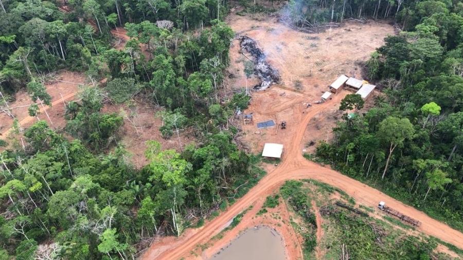 Área queimada e desmatada no município de Boca do Acre (AM), mapeada pela Força-Tarefa Amazônia - Divulgação