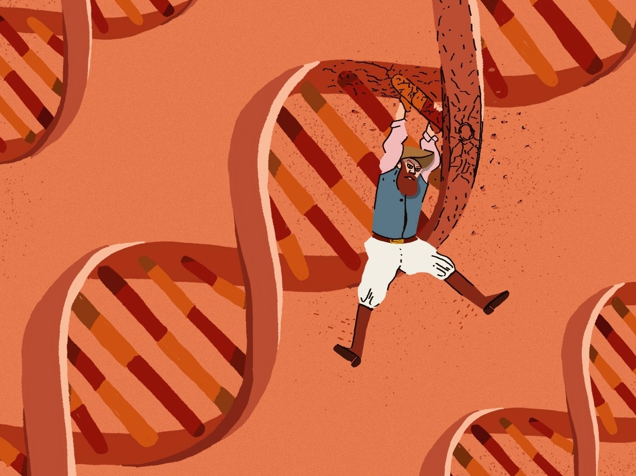 Nação feita na cama