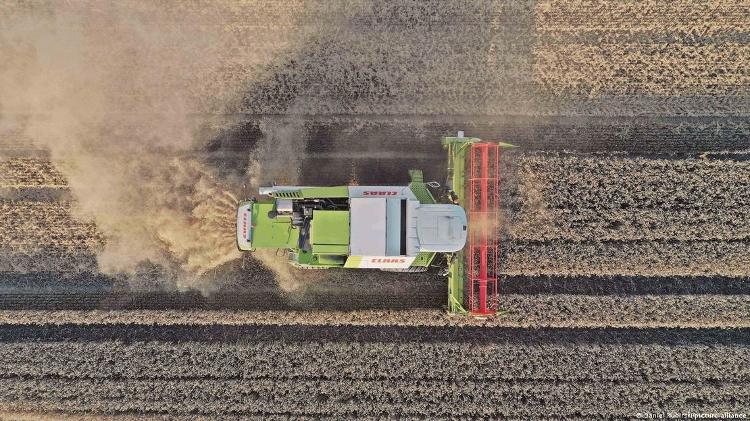 Pesquisadores sugerem que agricultores devem ter mais acesso a apoio à saúde mental