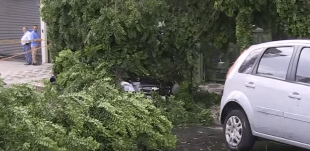 Mulher fica 2h em carro atingido por árvore até Enel desligar energia