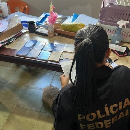 Agente da PF com carteiras de trabalho encontradas durante operação contra fraude previdenciária no DF Agente da PF com carteiras de trabalho encontradas durante operação contra fraude previdenciária no DF