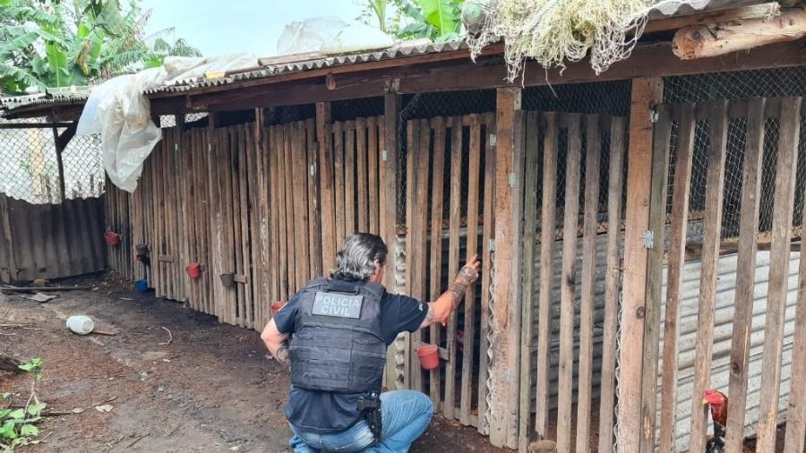 Operação contra suspeitos de promover rinha de galo - Divulgação/Polícia Civil-PR