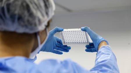 fiocruz-ce - Divulgação/Fiocruz - Divulgação/Fiocruz