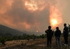 Incêndio florestal afeta região ao oeste de Atenas, na Grécia - Louisa GOULIAMAKI / AFP