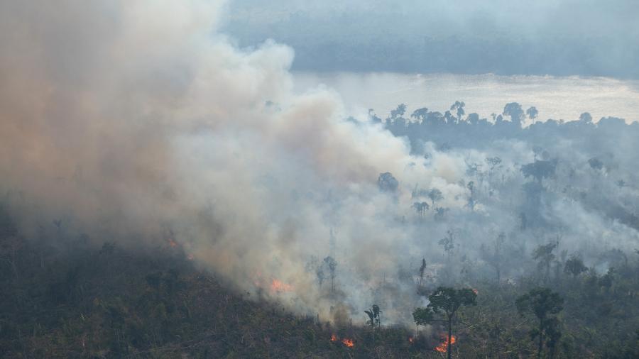 Fogo consome região da floresta amazônica de Amazonas, Rondônia e Acre - Nilmar Lage/© Nilmar Lage / Greenpeace