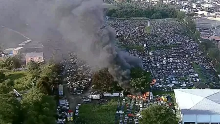 TV Globo/Reprodução