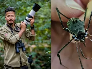 Fotógrafo descobre aracnídeo em MG e nova espécie é batizada com seu nome