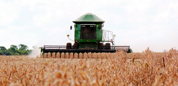 Soja, milho e arroz puxam safra e IBGE estima avanço de 16,8% em 2025