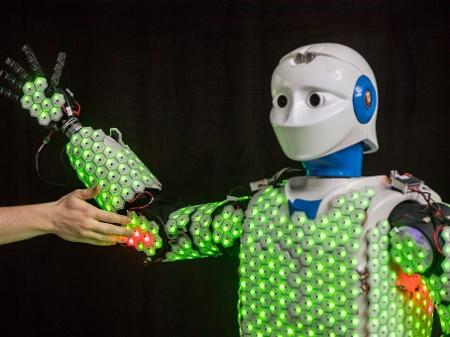 Pele feita de fungo é criada para robôs sentirem melhor o mundo ao redor  - Olhar Digital