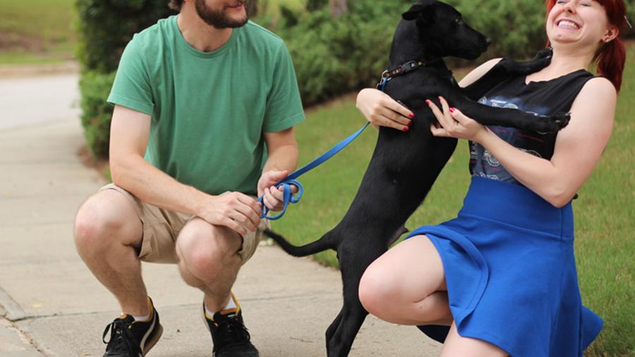 Casal com cachorro de estimação Casal com cachorro de estimação