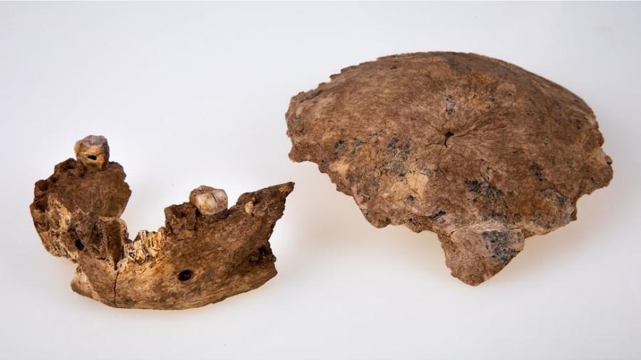 Fragmento de crânio e mandíbula foram encontrados perto de Ramla em Israel - Avi Levin e Ilan Theiler