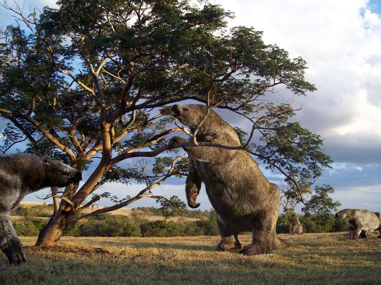 As preguiças-gigantes eram um grupo de mamíferos pré-históricos que habitavam as Américas há milhares de anos