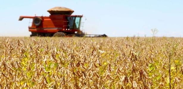 Safra brasileira encolhe 3,9% e fica em R$ 783,2 bilhões em 2024